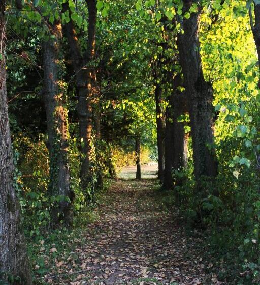 住宿加早餐 Domaine Des Lilas