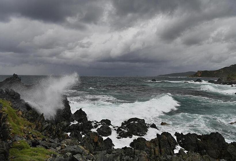 Domitys Le Jardin Des Palmiers
