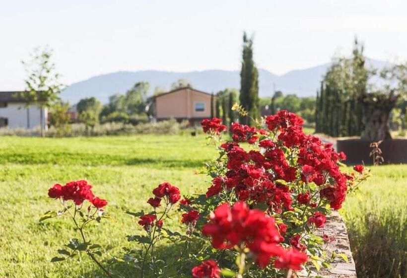 ペンション Le Mas Di Laura