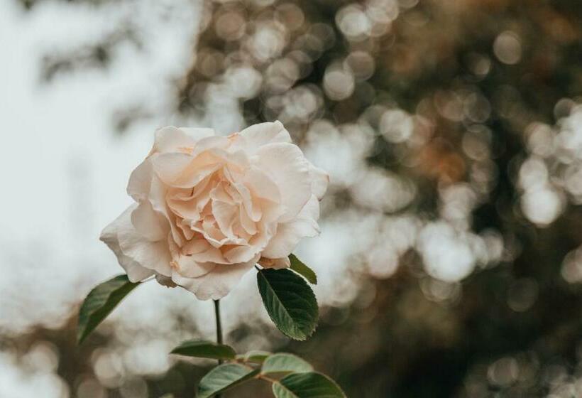 Sträumli Bed And Breakfast