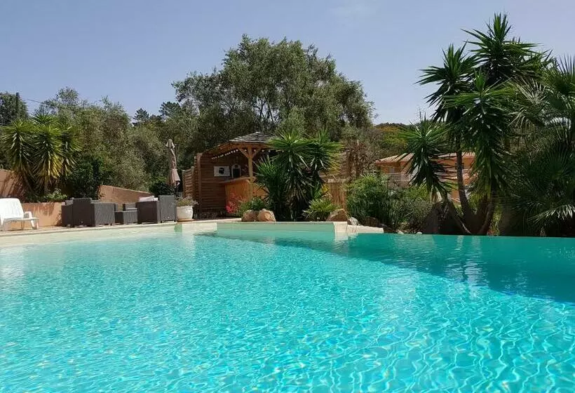 Aamiaismajoitus (B&B) Villa Mimosa