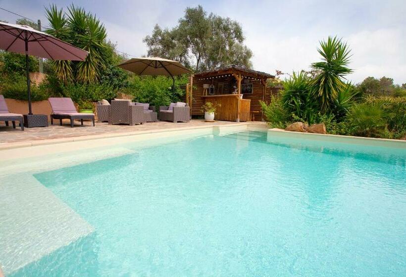 住宿加早餐  Villa Mimosa