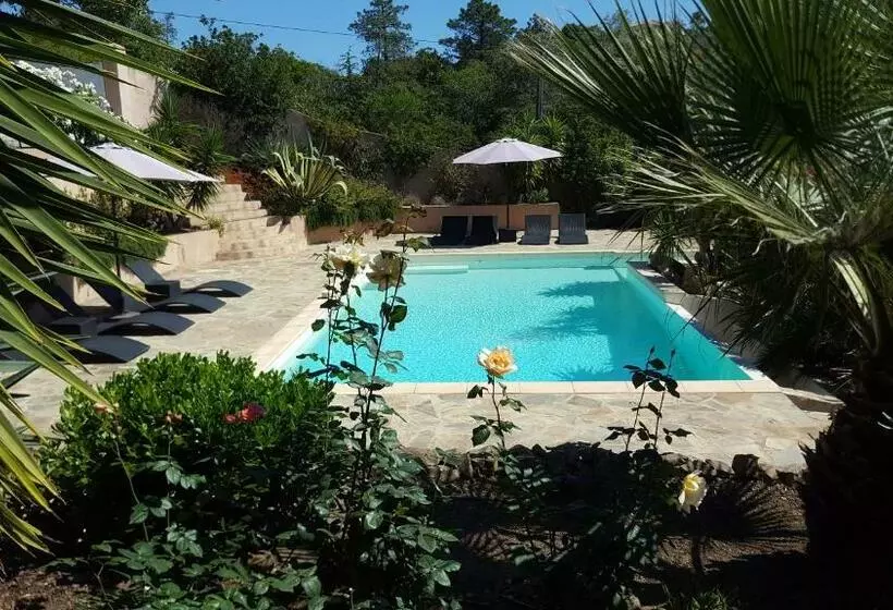 Aamiaismajoitus (B&B) Villa Mimosa