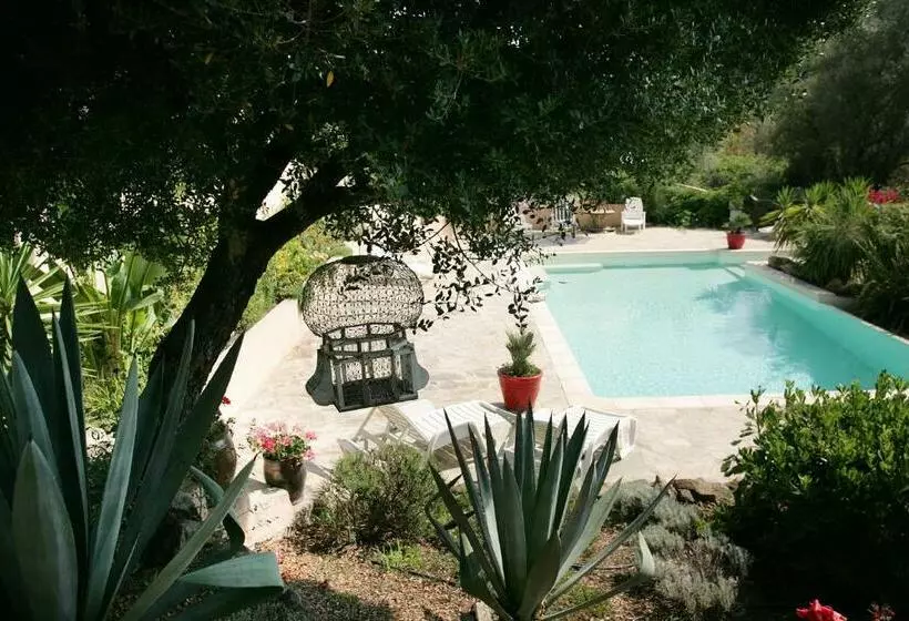 Aamiaismajoitus (B&B) Villa Mimosa