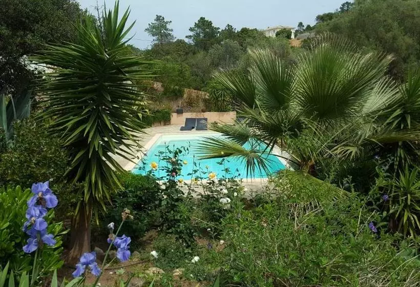 Aamiaismajoitus (B&B) Villa Mimosa