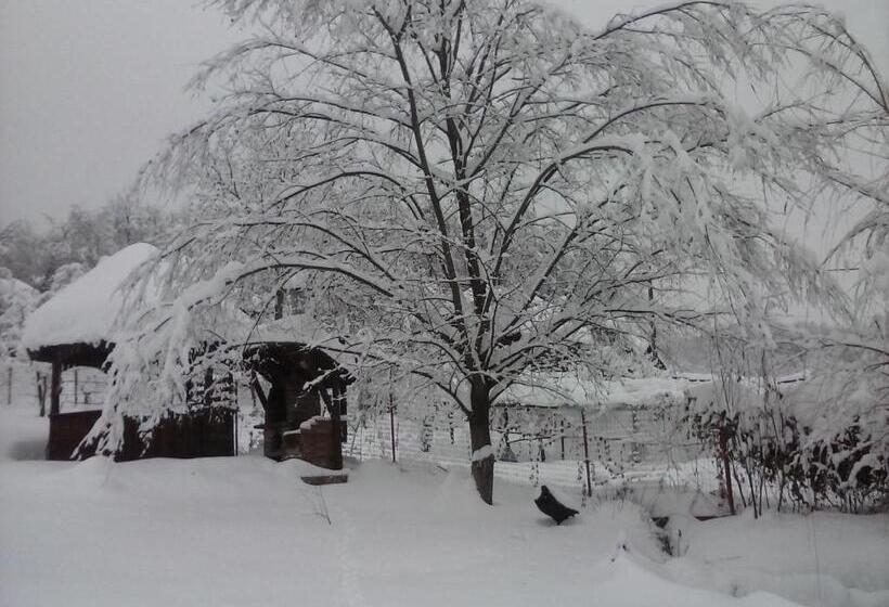 פנסיון Casa Rustica Oltenia