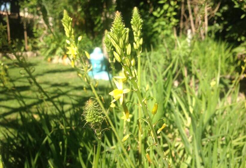 پانسیون Maison D Hôtes L îlot Bambou