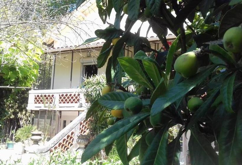 پانسیون Maison D Hôtes L îlot Bambou