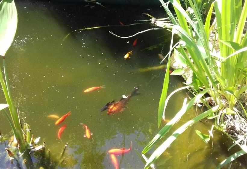 پانسیون Maison D Hôtes L îlot Bambou