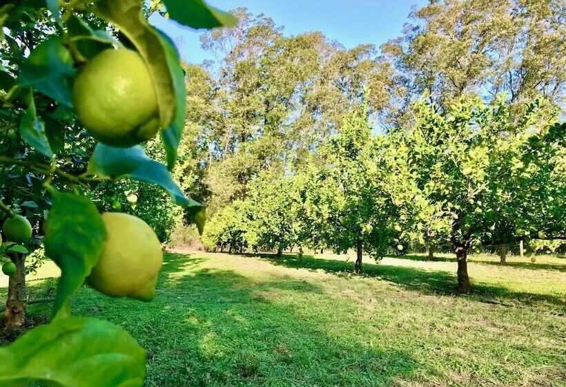 호텔 Bloomestate Swellendam