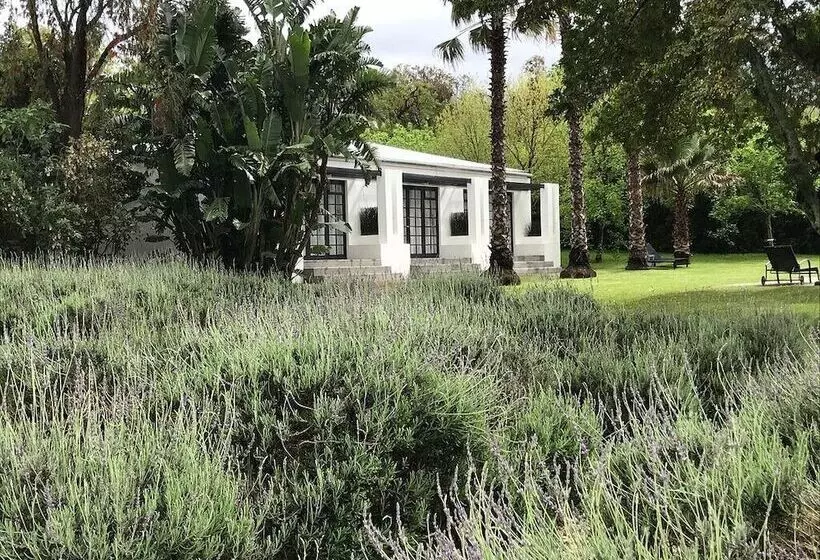 בית מלון כפרי Bloomestate Swellendam