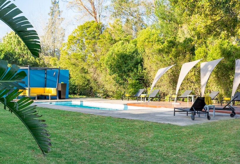 호텔 Bloomestate Swellendam