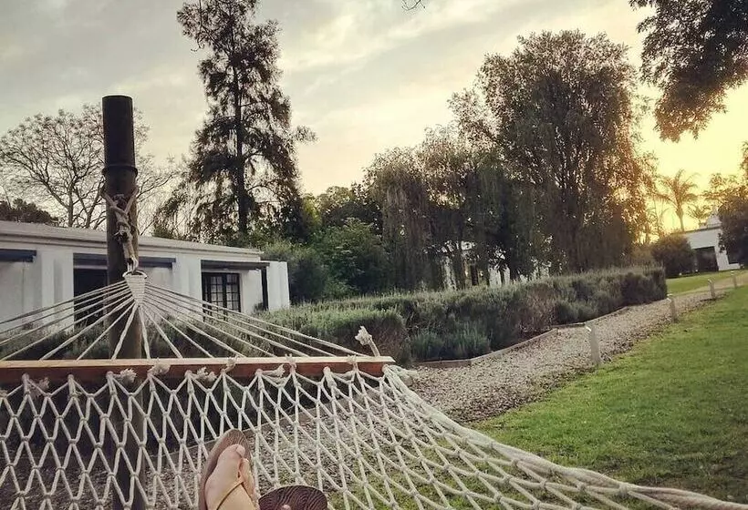 בית מלון כפרי Bloomestate Swellendam