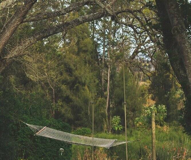 호텔 Bloomestate Swellendam