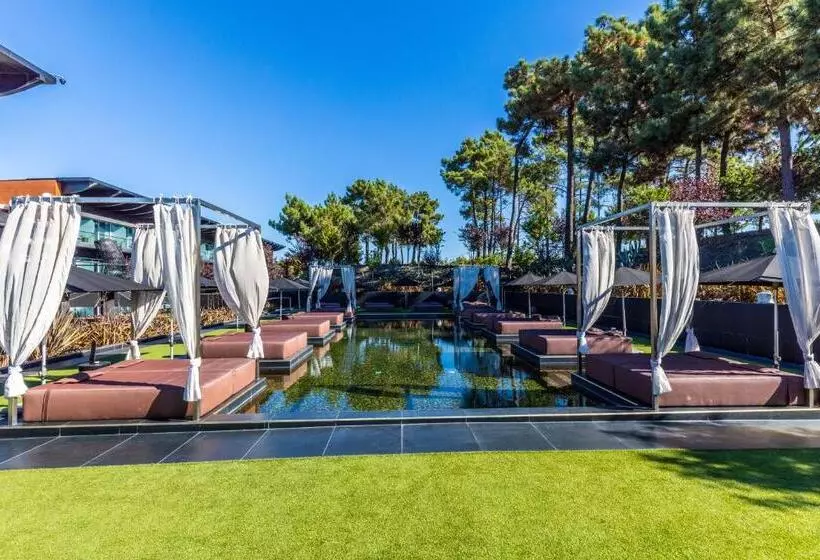 호텔 Evidencia Belverde