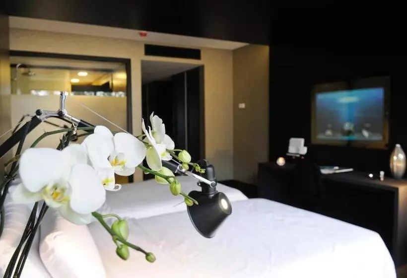 호텔 Evidencia Belverde