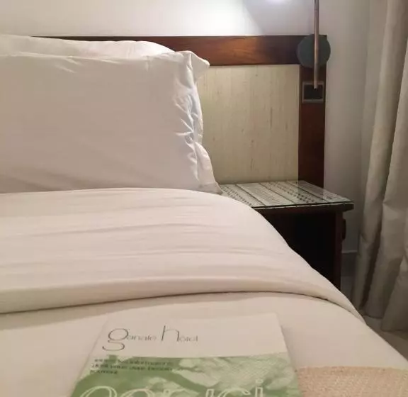هتل Ganalé Hôtel