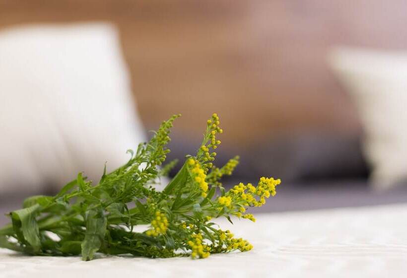 هتل Hostal Art Madrid