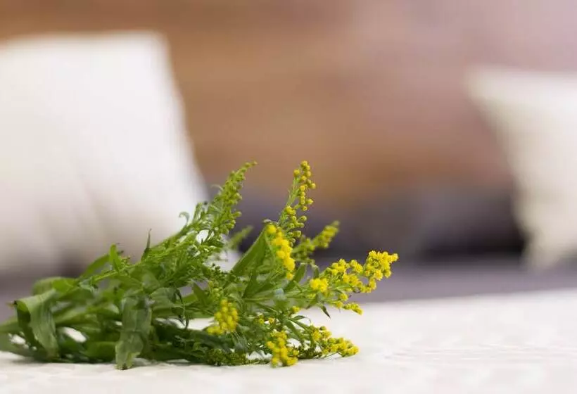 هتل Hostal Art Madrid