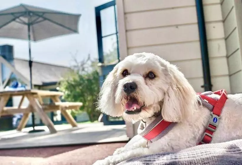 호텔 Les Ormes Resort