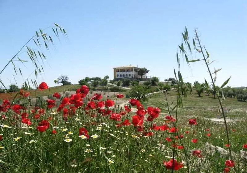 בית מלון כפרי El Geco Verde