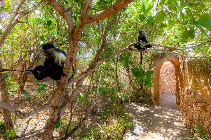 هتل Chale Island Resort