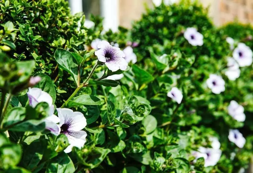 酒店 Willington Hall