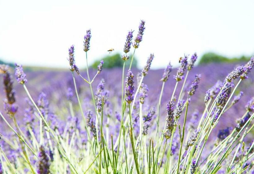 هاستل Gîte De Vénascle