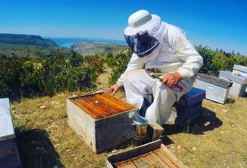 هاستل Gîte De Vénascle