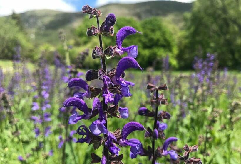 هاستل Gîte De Vénascle