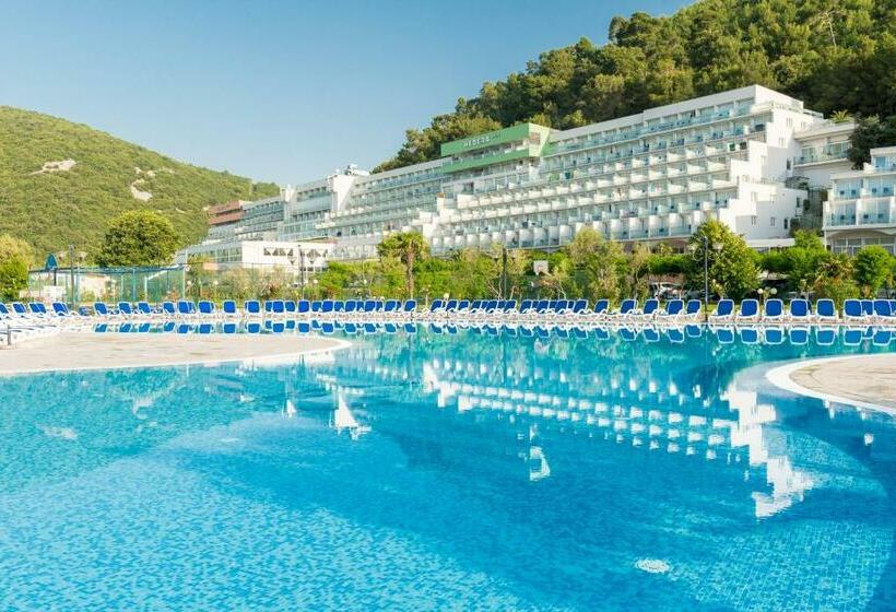 Hedera   Maslinica Hotels & Resorts