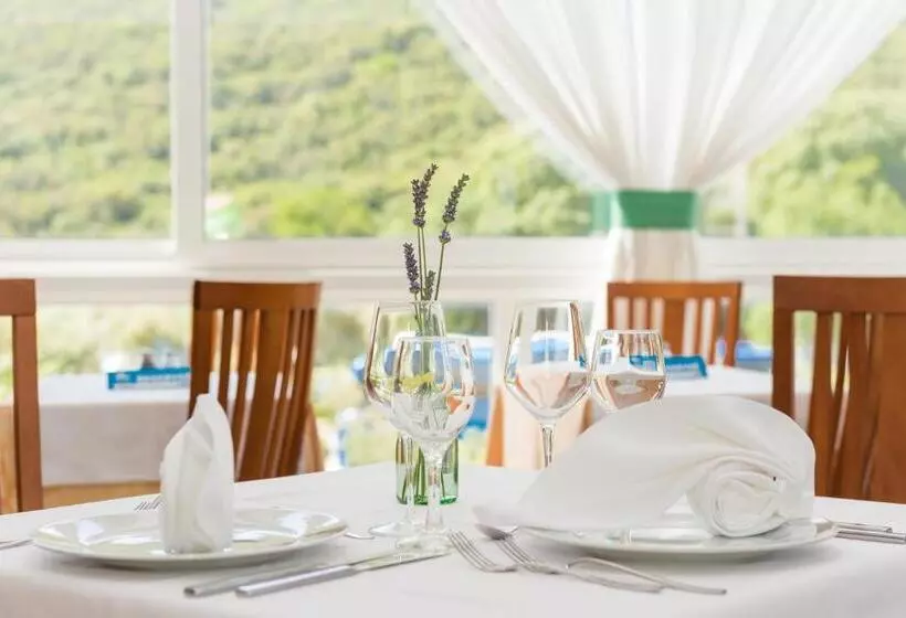 Hedera   Maslinica Hotels & Resorts