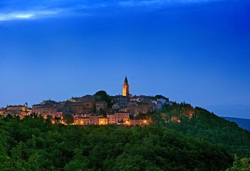 Hedera   Maslinica Hotels & Resorts