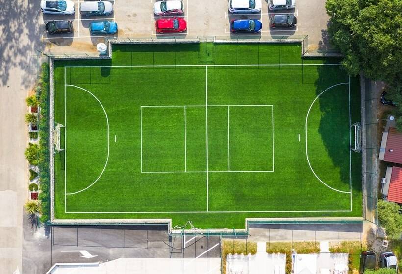 Hedera   Maslinica Hotels & Resorts