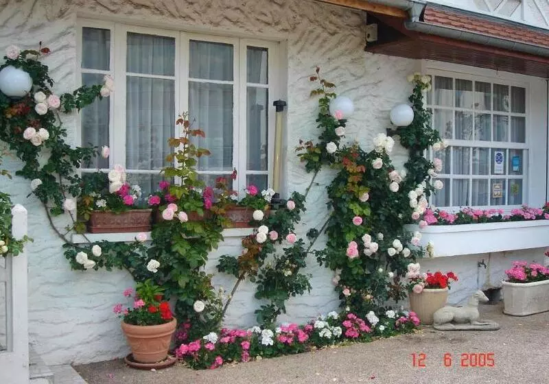 בית מלון כפרי Restaurant Maison Blanche