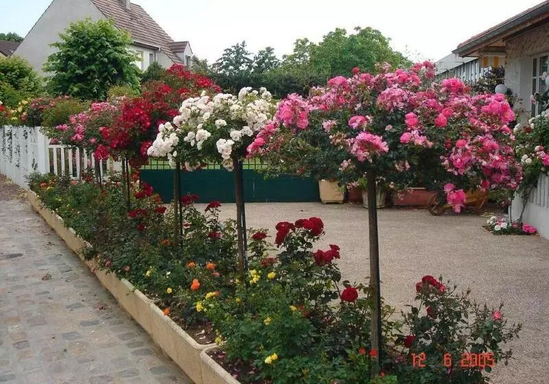 בית מלון כפרי Restaurant Maison Blanche