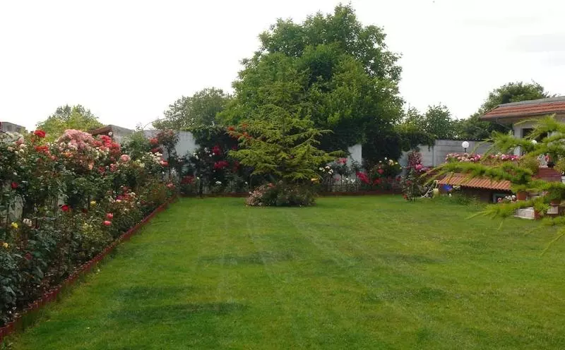 בית מלון כפרי Restaurant Maison Blanche