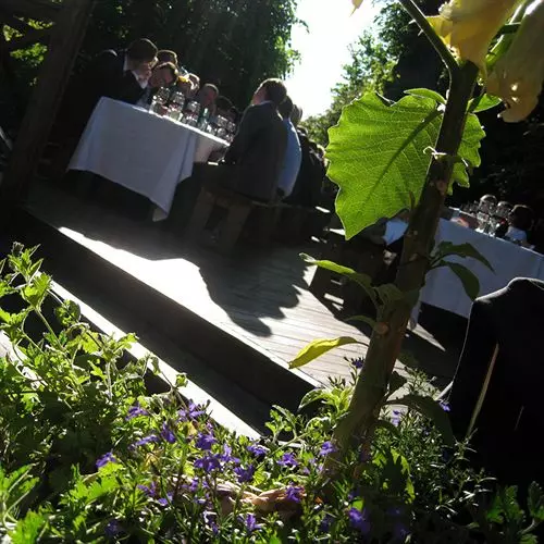 فندق Villa Brevik