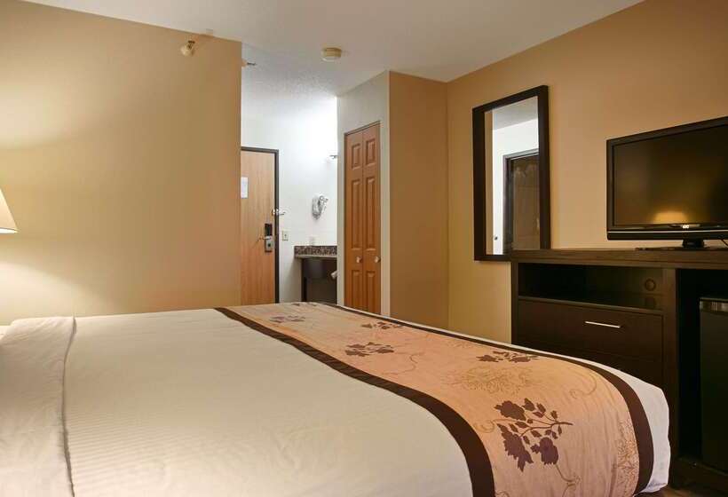 Отель Best Western Alexandria Inn