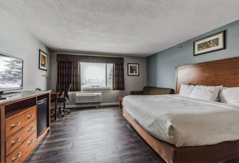 فندق Best Western Alexandria Inn