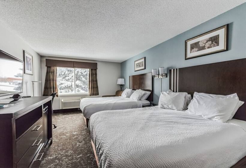 Отель Best Western Alexandria Inn