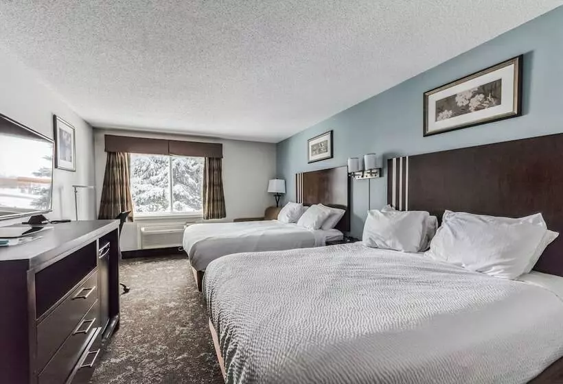 فندق Best Western Alexandria Inn