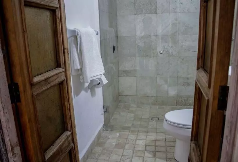 هتل Boutique Don Porfirio