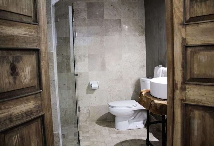 هتل Boutique Don Porfirio