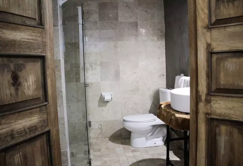 هتل Boutique Don Porfirio