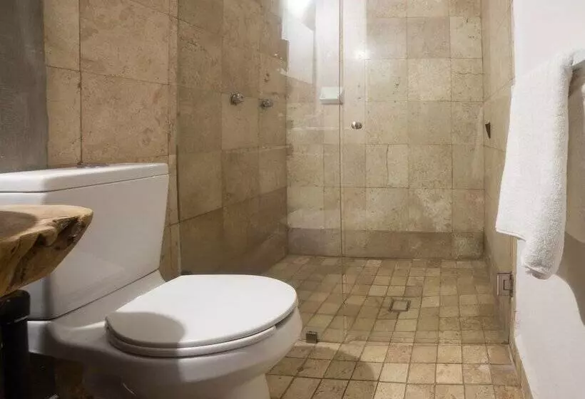 هتل Boutique Don Porfirio