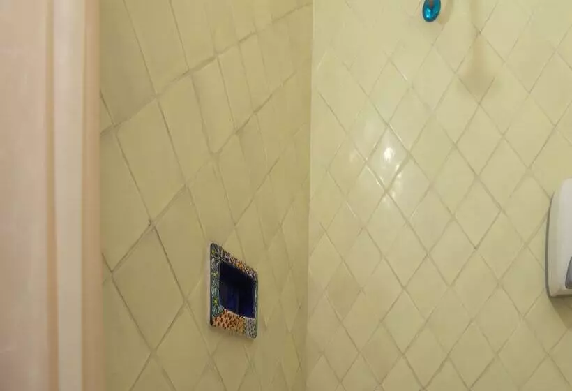 هتل Boutique Don Porfirio