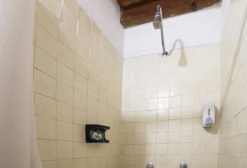 هتل Boutique Don Porfirio