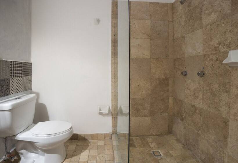 هتل Boutique Don Porfirio