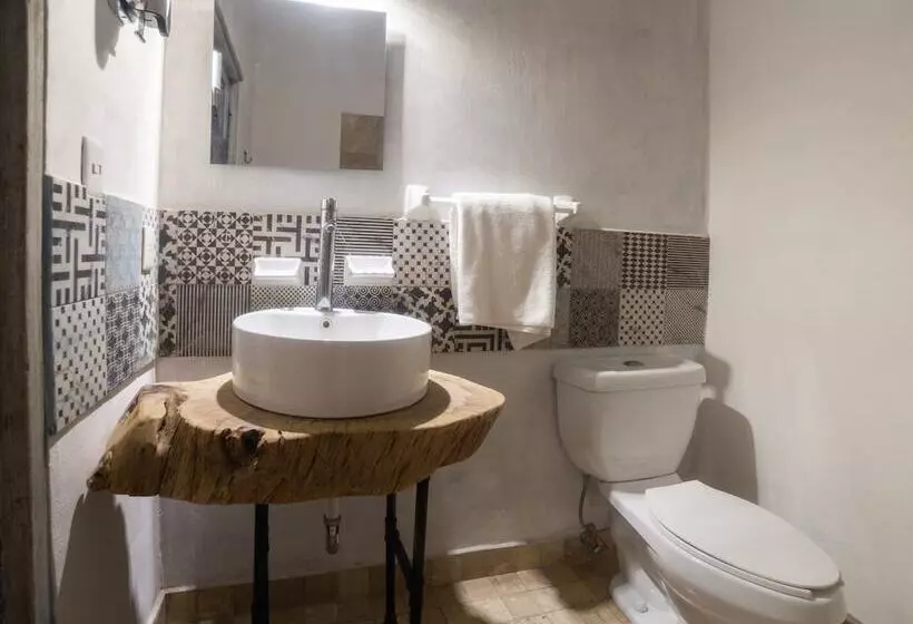 هتل Boutique Don Porfirio